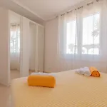 Pina 코라레호