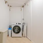 Pina 코라레호