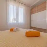 Pina 코라레호